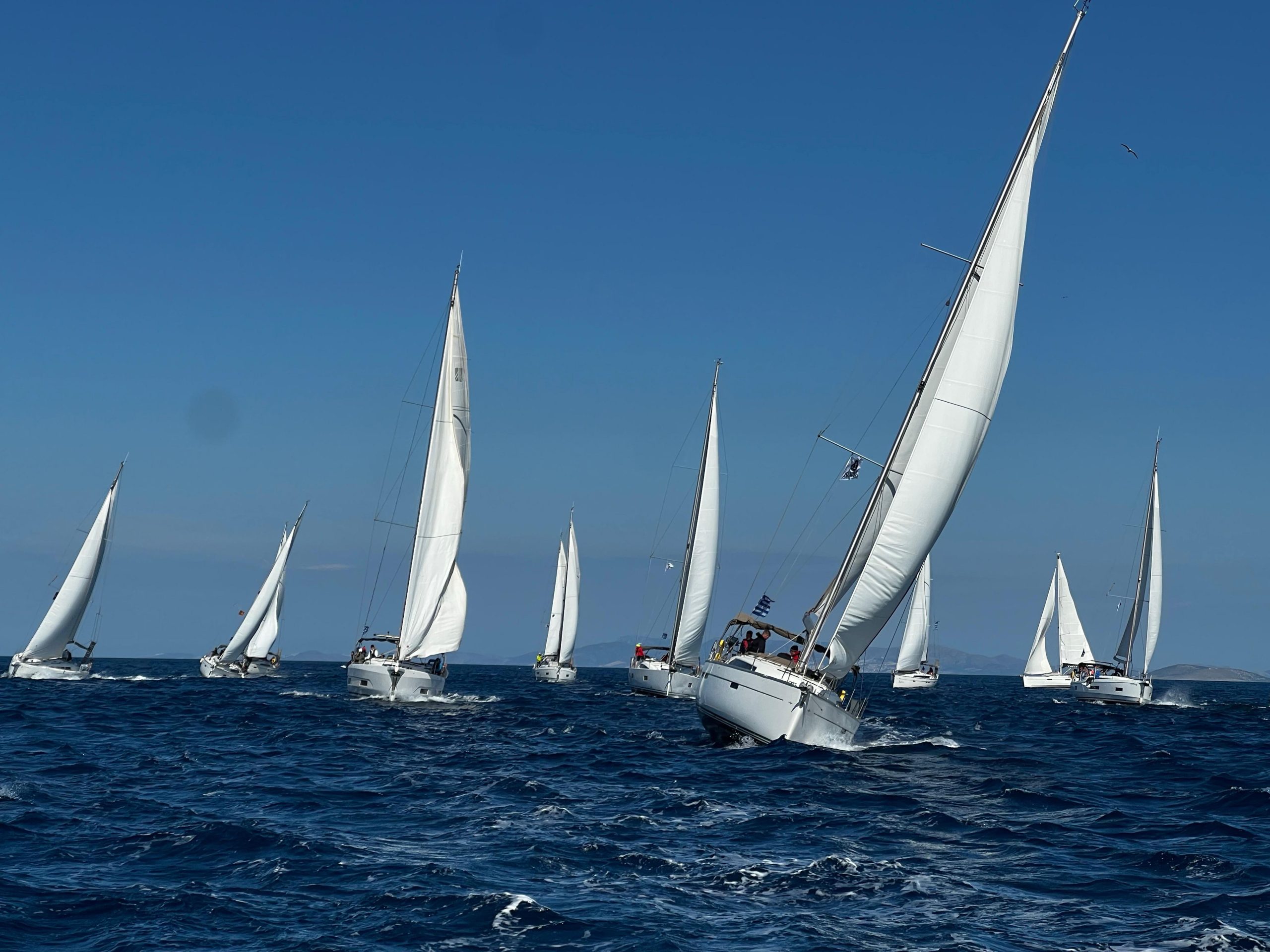 Do you dream of sailing away?