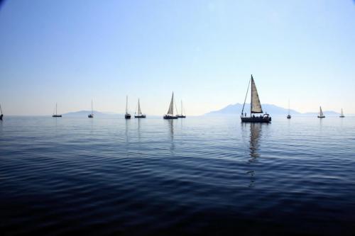 SC2011-Greece-398