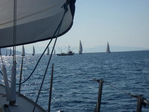 SC2011-Greece-631