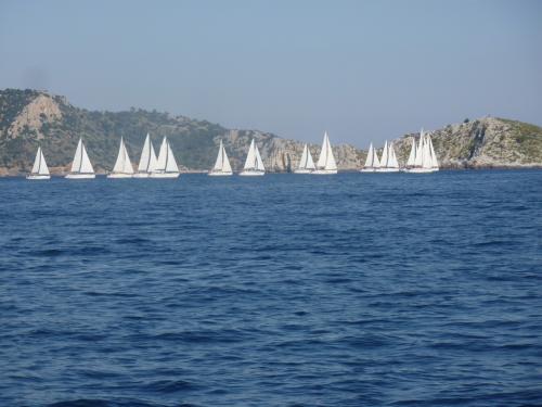 SC2011-Greece-636