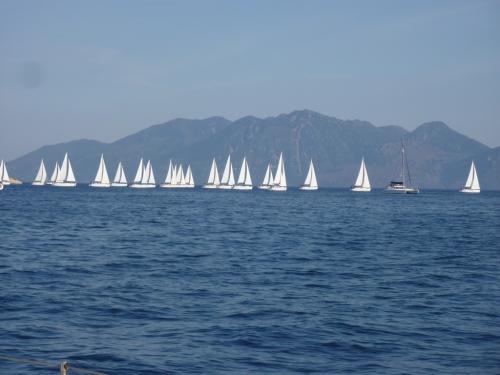 SC2011-Greece-639